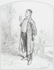 Le cineraria candidissima, Tavola 3 da Les Toquades, 1858 da Paul Gavarni